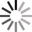 spinner